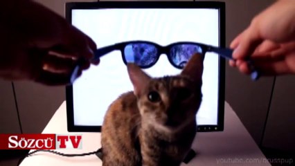 Böyle teknoloji görülmedi!