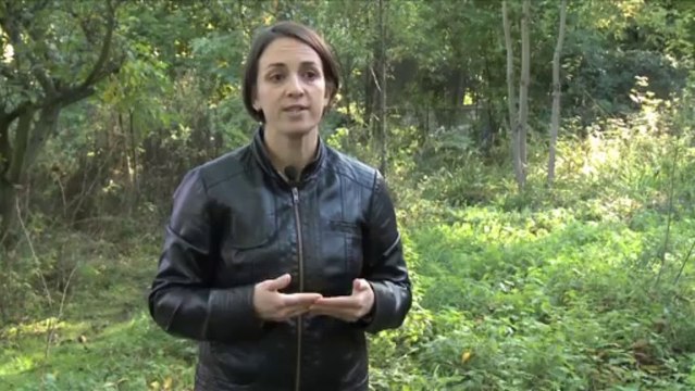 Une charte de gestion des espaces verts privés? C'est en cours...