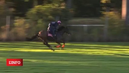 LAMEGO - Patricia Butel pour le Grand Prix d'Automne 2013 - Auteuil