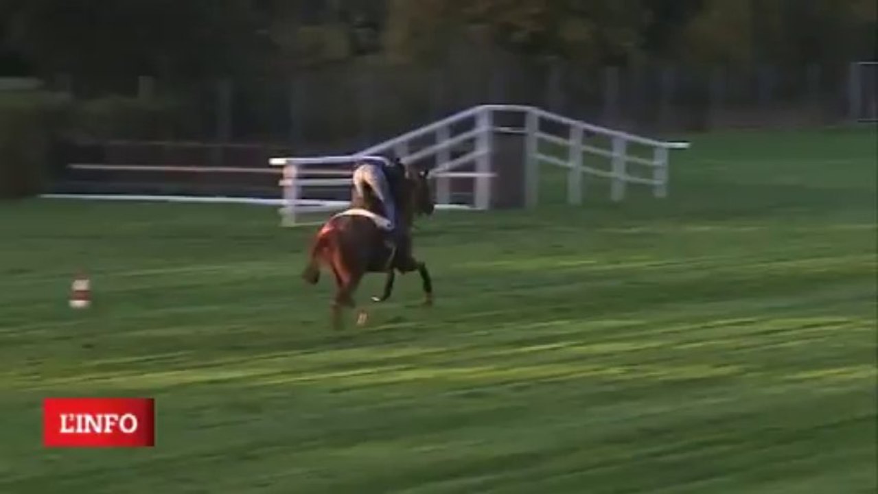 GALOP GEMIX  du 29/10/13 pour le GP d'AUTOMNE 2013 à Auteuil
