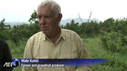 Bosnian nature reserve threatened by hydro-electric project