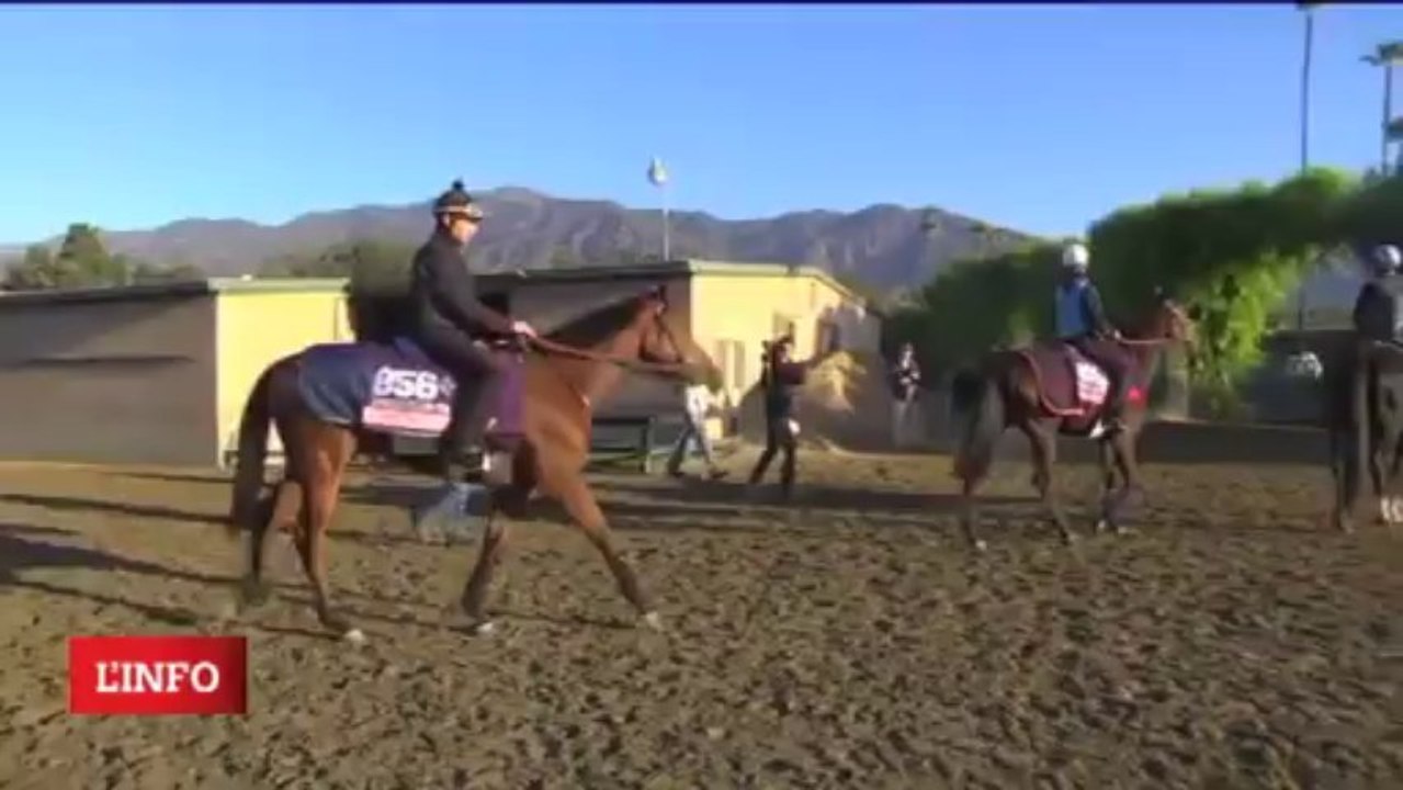 Santa Anita - Breeders Cup 2013 - galop Romantica