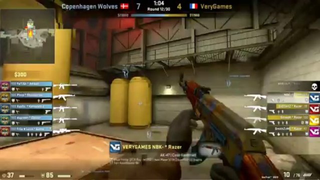 VeryGames vs. CPH Wolves 2013 Group B