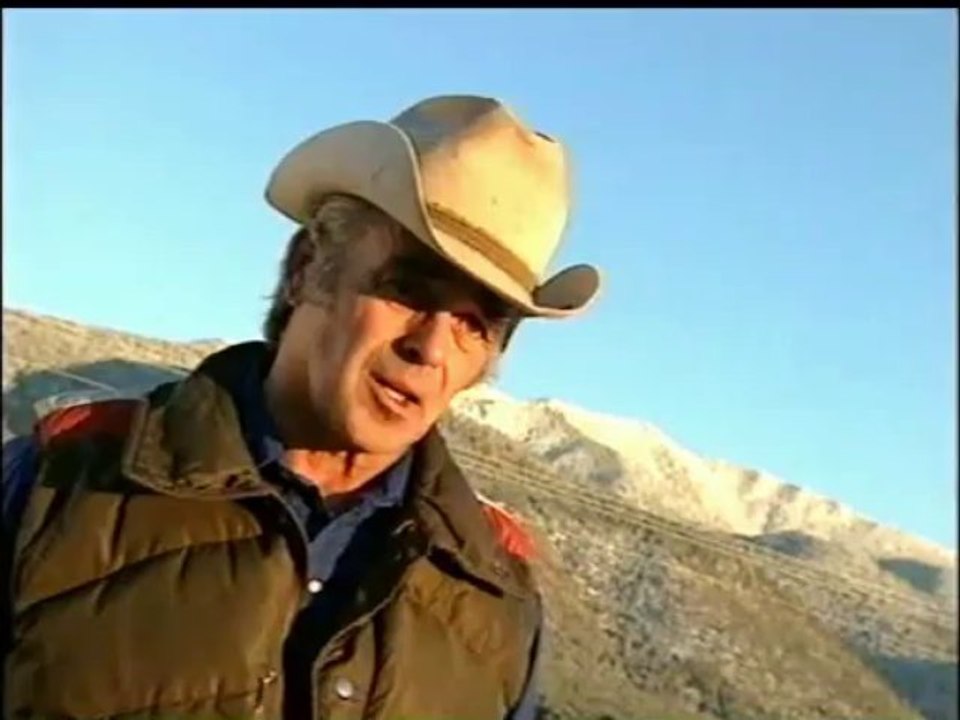 Mutilations Animales [E06]