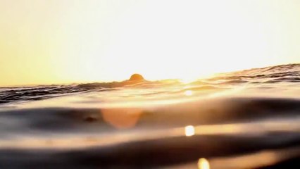 Lost Tapes from Macaronesia