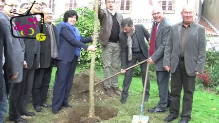 JT agri85TV du vendredi 1er novembre 2013