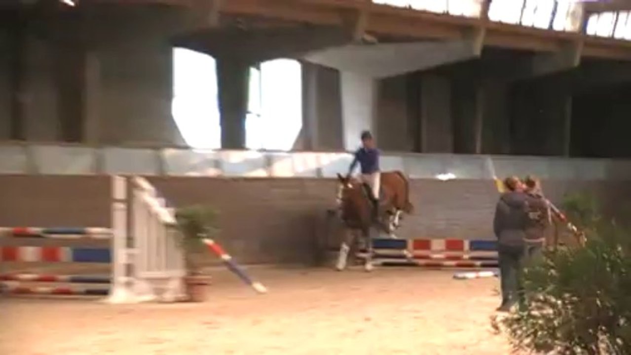 Andalie de Bieville Régional 3ans St Lo saut monté (1)