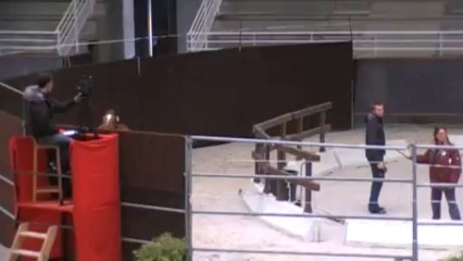 Aeka de Bieville Régional 3ans St Lo saut liberté