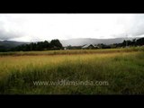 Driving through sudden showers in the Ziro Valley