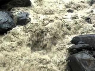 Angry torrent plans to flood Himalayan valleys