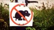 Spain town mails dog poop back to owners