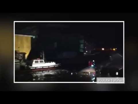 At least three dead in Genoa cargo ship crash