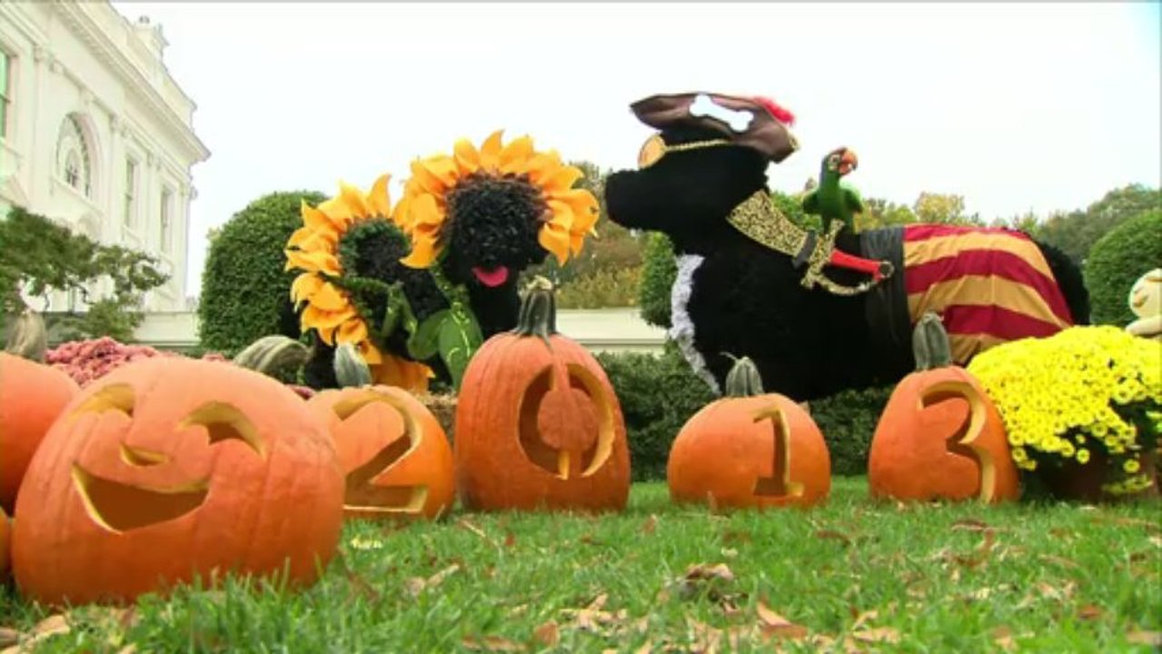 White House gets decked out for Halloween