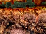 Environnement [Agriculture] BRF, bois raméal fragmenté le festin des sols - Sylvain Houlier Jacky Dupety - 22m35s