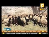 صباح ON: قرية البشندي بالوادي الجديد .. أول قرية بلا بطالة