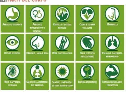 TG 31.10.13 Sanità: dove e come curarsi, in rete i centri di eccellenza