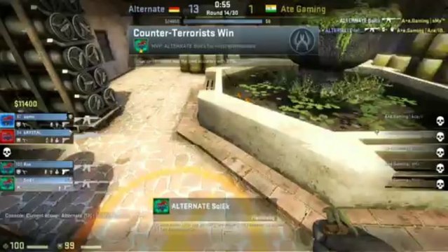 Alternate vs. ATE-Gaming ESWC 2013 Group C