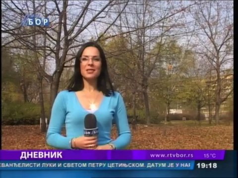 Dnevnik, 31. oktobar 2013.