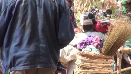 Boosting Dairy Growth: The Power of Public-Private Partnerships 🥛