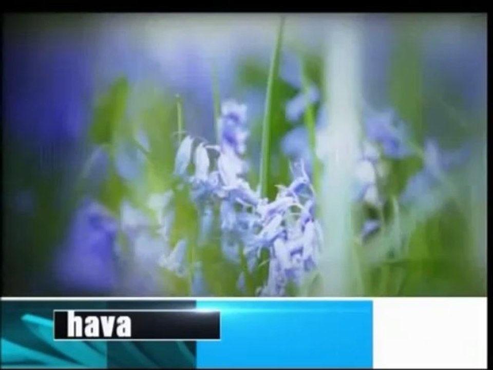 31.10.2013.CAN TV24 HABERLER
