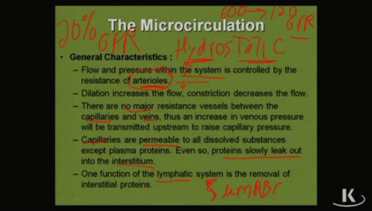 Physio_Fischer_Sec01_Ch01b_Microcirculation_xvid