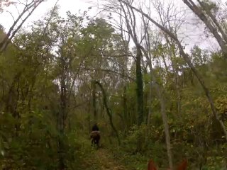 Sources Loire 092013 (1)