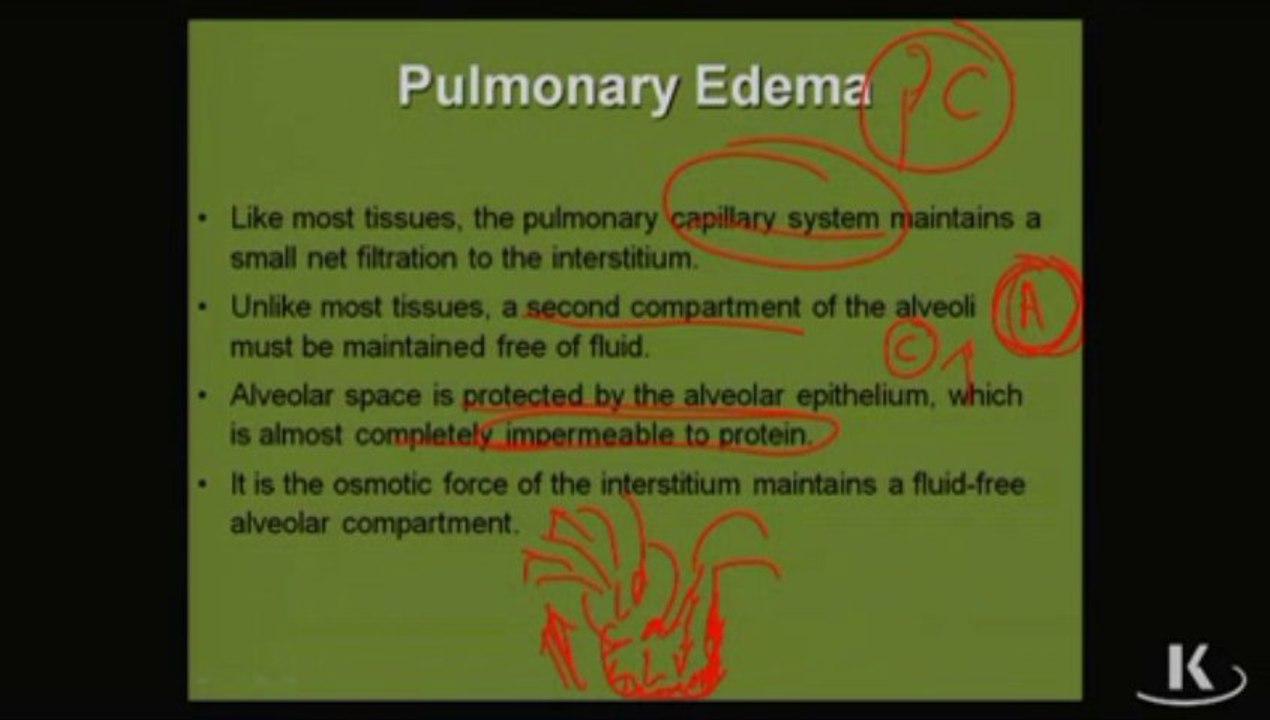 Physio_Fischer_Sec01_Ch01d_Edema_xvid