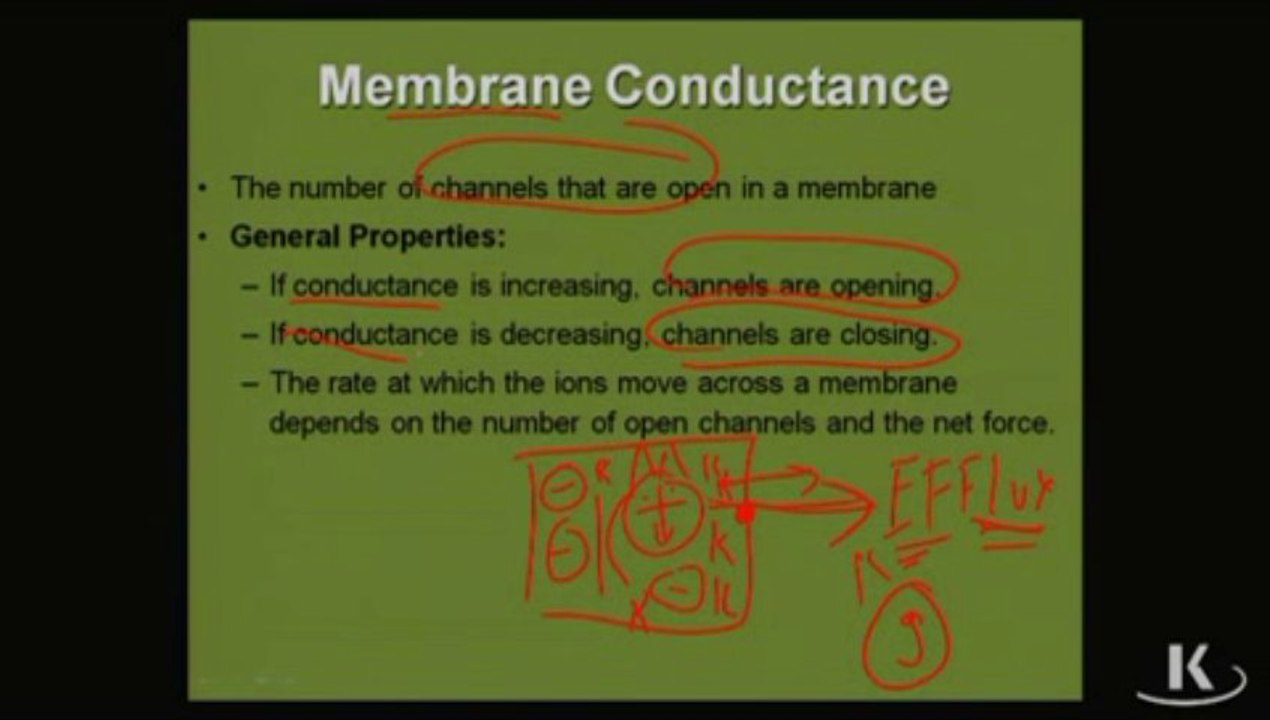 Physio_Fischer_Sec02_Ch01a_ElectromechanicalPotential_xvid