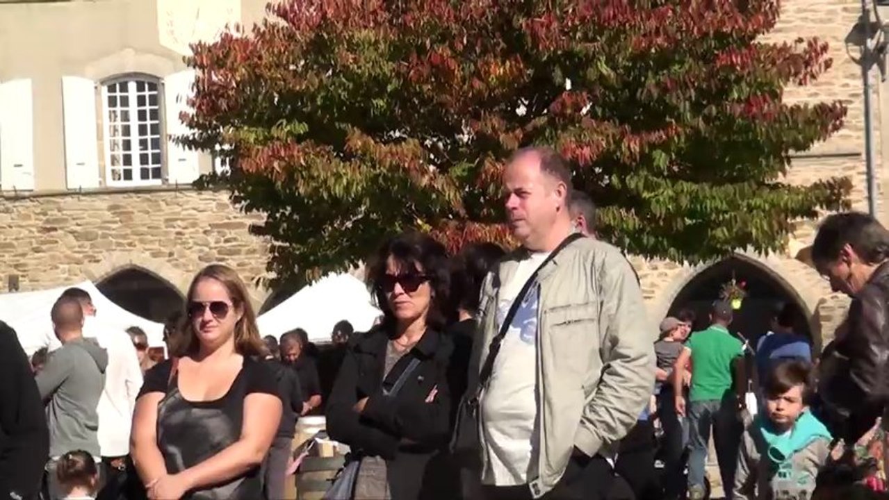 Sauveterre-De-Rouergue: fête de la châtaigne 2013