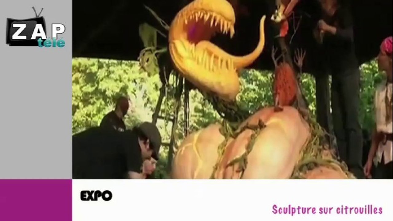 Zapping du net du 30 octobre 2013