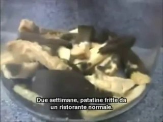 Dedicato agli amanti dei McDonalds