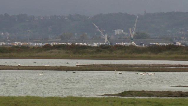 Reserve naturelle Baie de Seine - Transat Jacques Vabre 2013 -