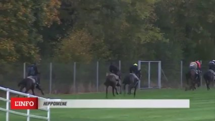 Galop HIPPOMENE 29/10/13 en vue du Prix Cambacérès 2013