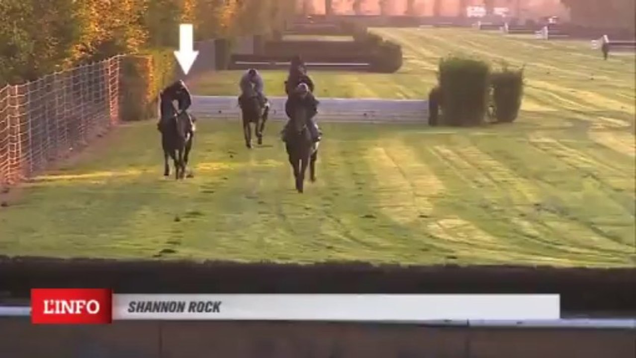 Galop SHANNON ROCK 29/10/13 en vue du Prix La Haye Jousselin