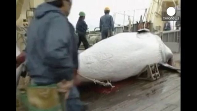 La Antártida seguirá sufriendo las amenazas de la sobrepesca y del cambio climático