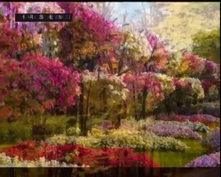 IHLAMURLAR ÇİÇEK AÇTIĞINDA ( Yeni Klip )