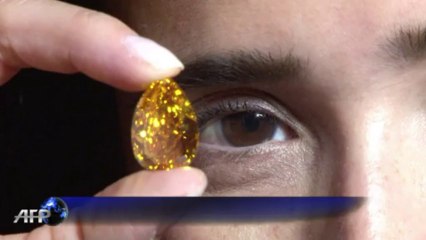 ‘Milagre da natureza’ vai a leilão