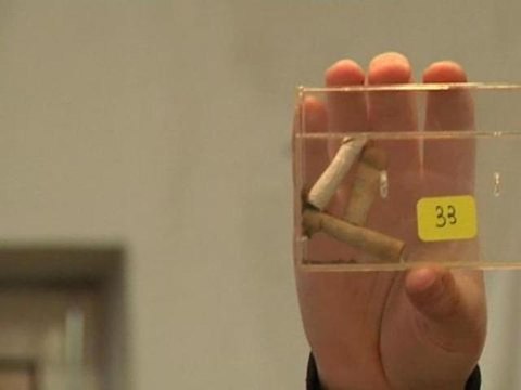 Vente aux enchères Serge Gainsbourg: des mégots pour 500 euros - 01/11