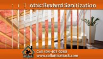 Atlanta Wildlife Removal | Acworth Humane Animal Trapping Call 404-403-0260