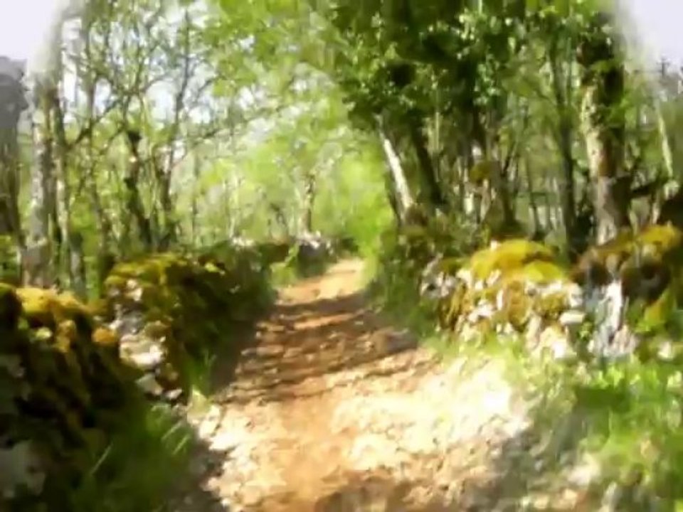Deuxième pélerinage : du Puy en Velay à Santiago - 11 ème étape : de Saint Jean de Laur à Mas de Vers.