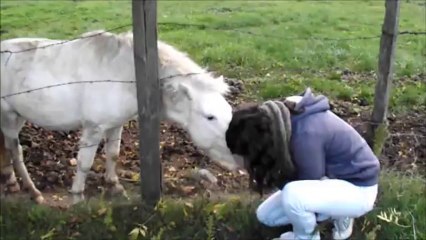 Ptit Poney-1.11