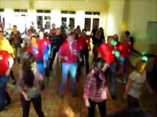 demo Irish Cob a ALLONNE