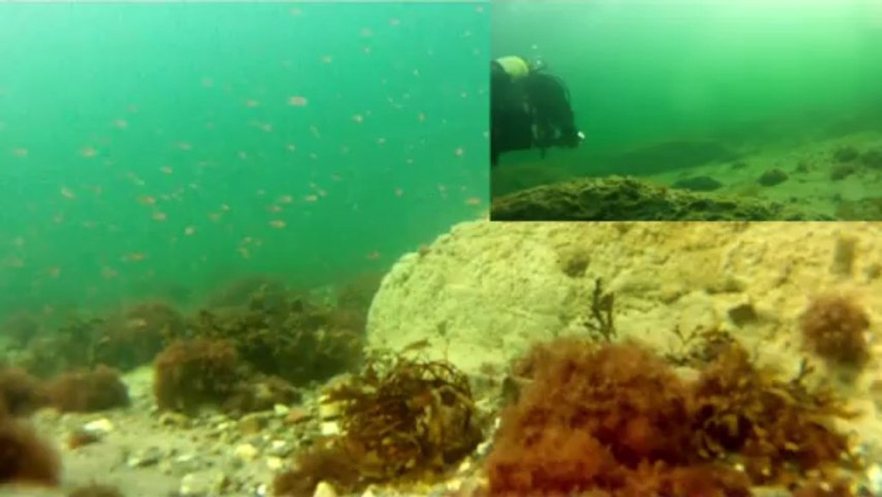 Westermarkelsdorf Fehmarn