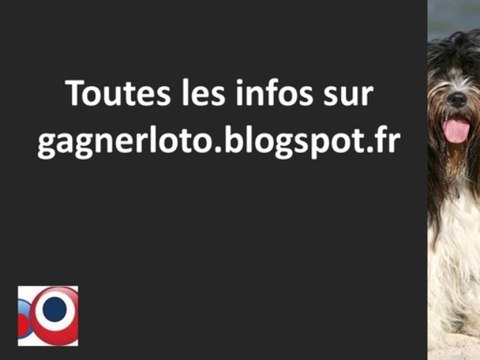 Euromillions-Resultat-Tirage-mardi-5-novembre-numero-gagnant-5/11