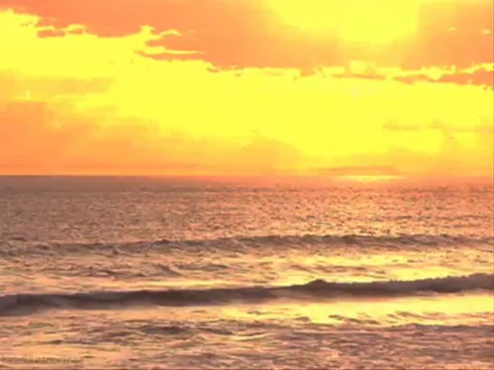 You'll Never Find Another Love Like Mine - Eu Mesmo