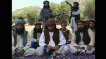 Pakistani Taliban chief killed in drone strike -sources