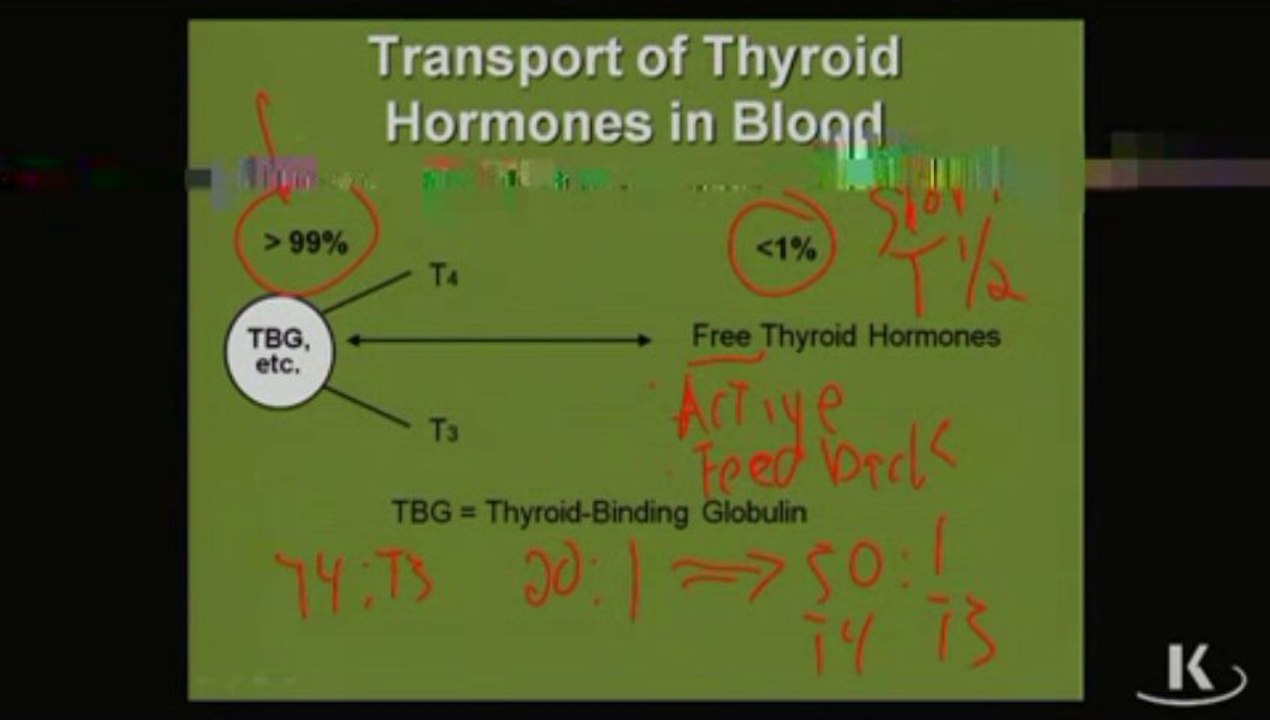 Physio_Fischer_Sec10_Ch08c_TransThyHorm_xvid