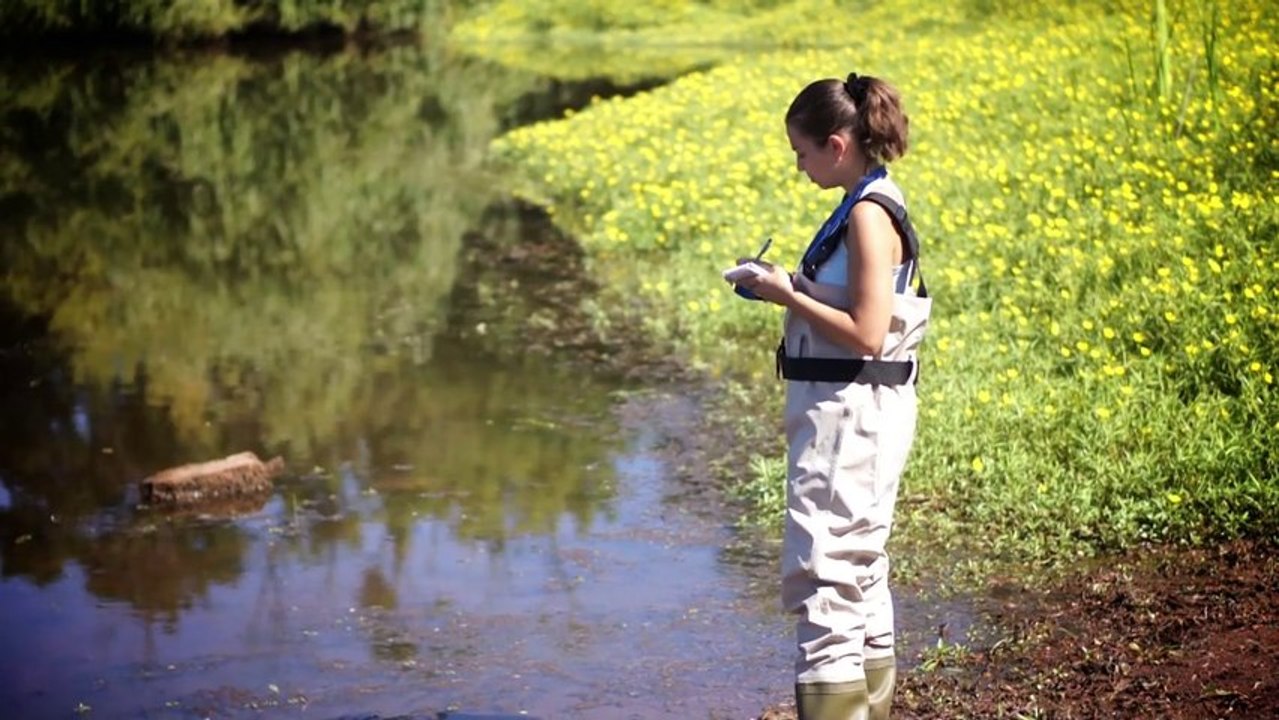 Présentation des métiers d'ECO-MED - Erell QUINTINO, milieux aquatiques