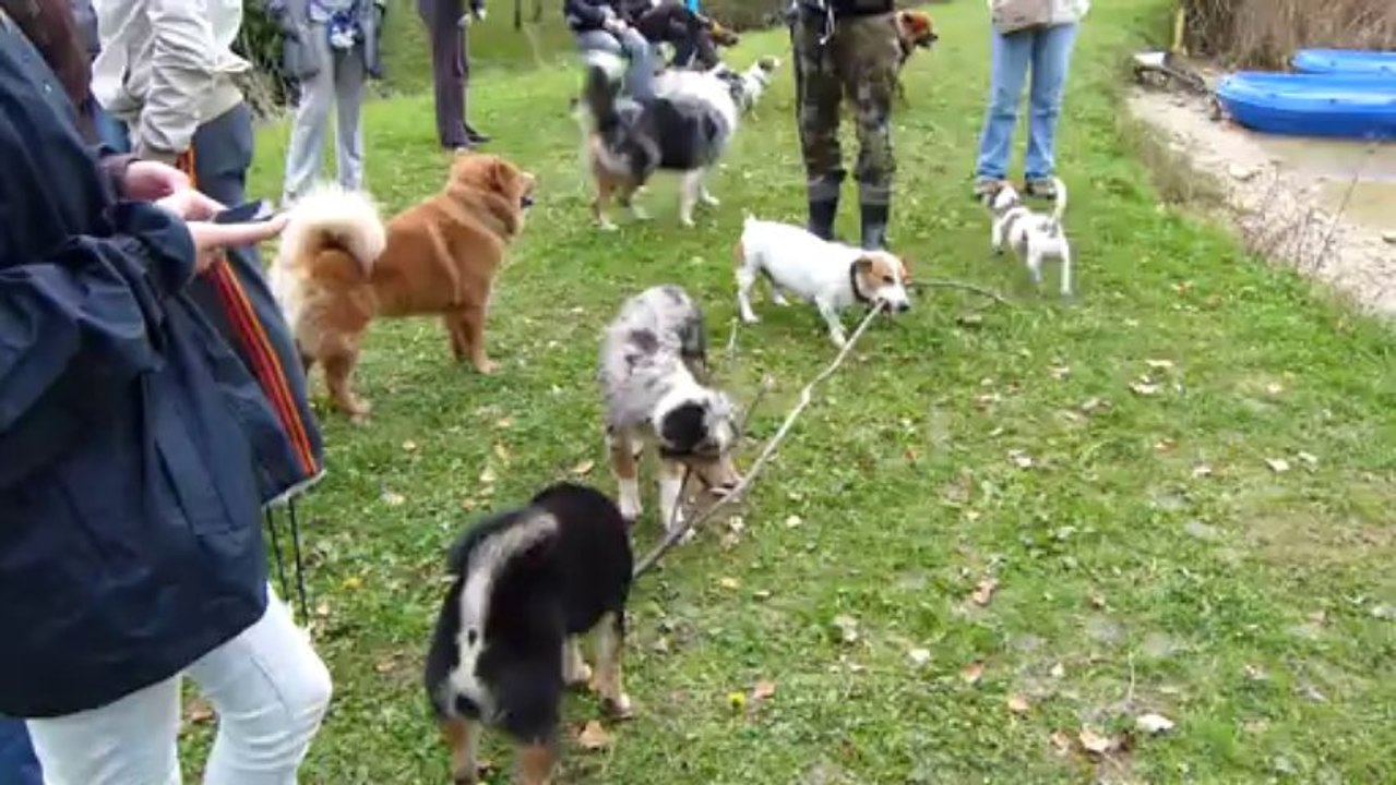 Eider Parc 01/11/13 bis