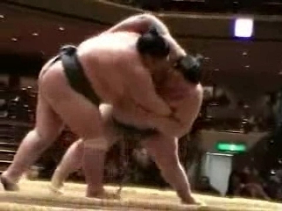 Sumo_montage